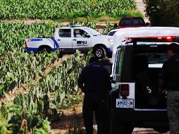 Las estadísticas se derivan de las Estadísticas de Defunciones Registradas y provienen de los registros administrativos de defunciones accidentales y violentas que generan las entidades federativas y que el Inegi recopila mensualmente. EL INFORMADOR / ARCHIVO