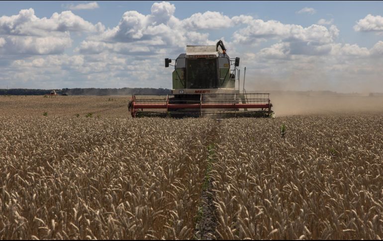 Ucrania declaró el pasado lunes que esperaba se retomaran esta semana las exportaciones de granos, cruciales para la seguridad alimentaria mundial. EFE / R. Pilipey