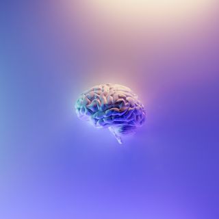 Secretos que no sabías del cerebro
