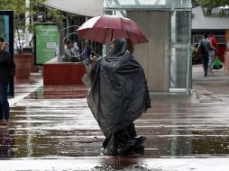 El viento tendrá dirección variable de 10 a 25 km/h en la región, con rachas de 40 km/h en zonas de tormenta. EL INFORMADOR / ARCHIVO