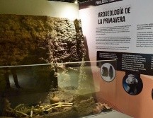 La muestra permanecerá abierta al público de forma gratuita hasta abril de 2023 en el Museo de Paleontología. ESPECIAL/Gobierno de Guadalajara