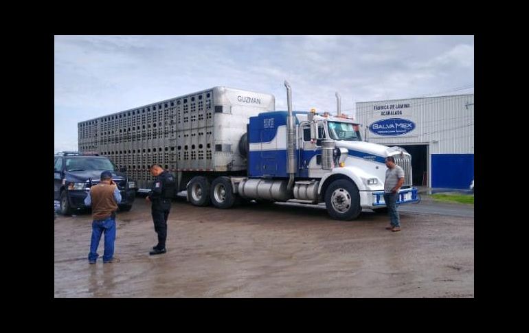 Al inspeccionar la documentación los oficiales se percataron que el ganado tenía marcado otro fierro que no correspondía al del documento mostrado, por lo que informaron a las autoridades ministeriales para continuar con las investigaciones. CORTESÍA