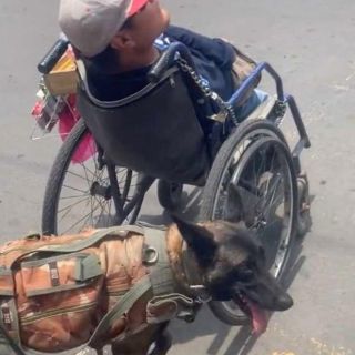 Viral: ¡Ternurita! Perrito empuja la silla de ruedas de su dueño y celebran el gesto en redes (VIDEO)