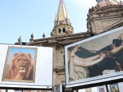 Este despliegue iconográfico de las obras más representativas del Museo Nacional del Prado de Madrid, España, consta de reproducciones fotográficas hechas en una escala de 1:1. CORTESÍA