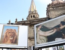 Este despliegue iconográfico de las obras más representativas del Museo Nacional del Prado de Madrid, España, consta de reproducciones fotográficas hechas en una escala de 1:1. CORTESÍA