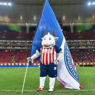 ¡La corrieron! La Chiva Loca confirma que Amaury Vergara y su familia decidieron su despido