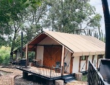 El pueblo jalisciense Amacueca destaca por ser productor de pitaya, café y nuez. GENTE BIEN JALISCO/ Maité Ruiz Velasco