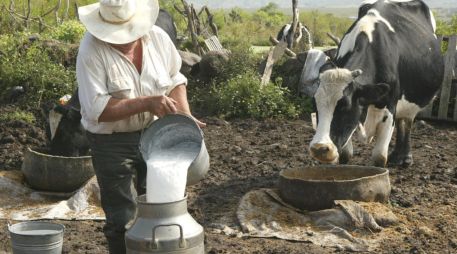 El litro de leche que el Gobierno compra a los productores subirá de 9.20 a 10 pesos. EL INFORMADOR / ARCHIVO