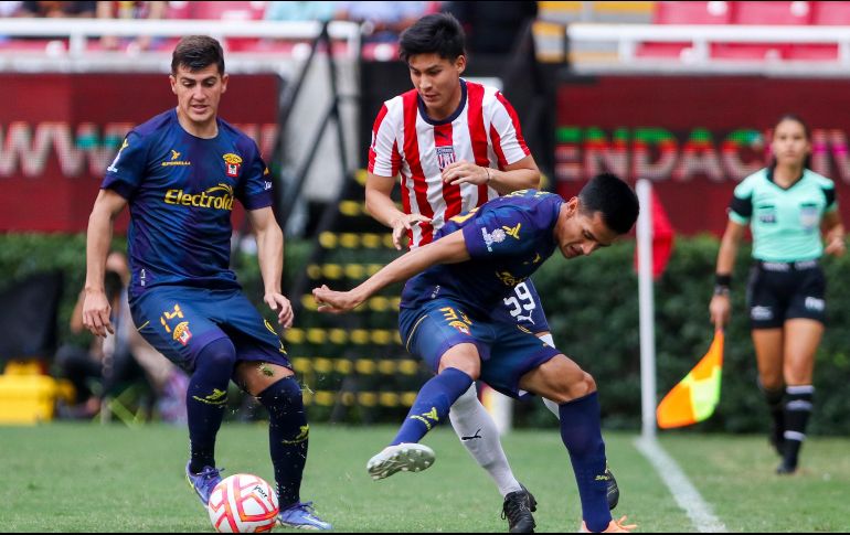 Tras poco más de dos años desde que se instituyó la Liga de Expansión, los Leones Negros viven su mejor arranque de torneo. IMAGO7