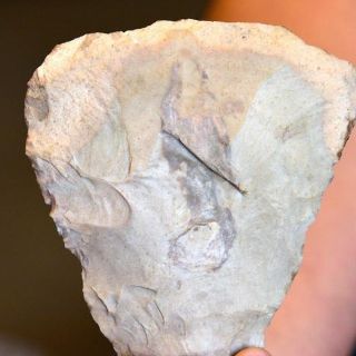 INAH: México recupera 428 bienes arqueológicos repatriados de Estados Unidos