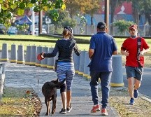 Las personas con relación en patrones de actividades físicas tienen 35 %, 21 % y 15 % menos de riesgo de demencia. EL INFORMADOR/ARCHIVO
