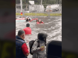 Al final del video se observa a la pareja de adultos mayores y a su mascota sanos y salvos. TIKTOK / aureliorubioar7