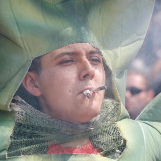 ¿Qué es y para qué sirve el aceite de cannabis?