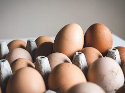 Según relata Karla, el pollito estaba mojado y dentro de un cascarón roto, aparentemente del cual salió. ESPECIAL