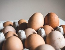 Según relata Karla, el pollito estaba mojado y dentro de un cascarón roto, aparentemente del cual salió. ESPECIAL