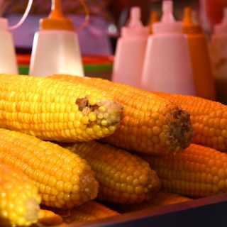 Tesistán: ¡Vuelve la Feria del Elote al municipio! Conoce todos los detalles de la edición XXV