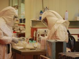 El nuevo virus de procedencia animal ya registra 35 casos en China, aunque ninguno grave. ESPECIAL