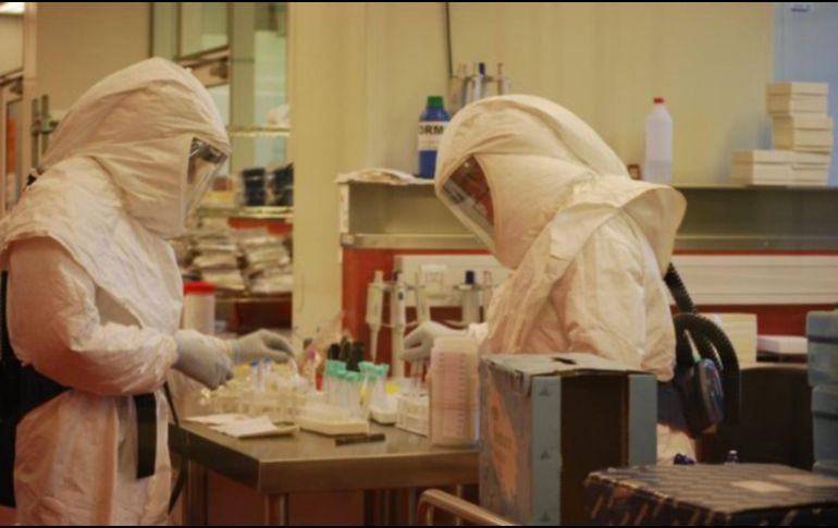 El nuevo virus de procedencia animal ya registra 35 casos en China, aunque ninguno grave. ESPECIAL