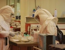 El nuevo virus de procedencia animal ya registra 35 casos en China, aunque ninguno grave. ESPECIAL