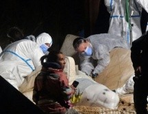 La ballena fue sacrificada poco después de su rescate del río. AFP