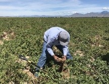 Señalaron que la sociedad vive y trabaja angustiada por el ambiente de violencia diaria. EL INFORMADOR/ARCHIVO