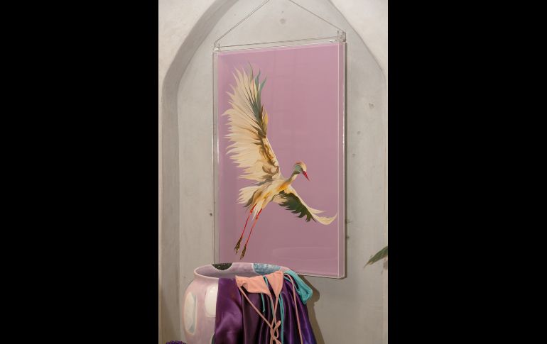 Aspecto. GENTE BIEN JALISCO/Jorge Soltero