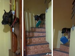 Con la repetición, Arturo fue diferenciando las cosas, hoy ya las lleva sin problema cuando se las piden. ESPECIAL