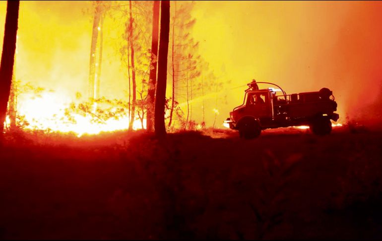 Las llamas han acabado con cientos de hectáreas este año. EFE
