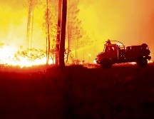 Las llamas han acabado con cientos de hectáreas este año. EFE