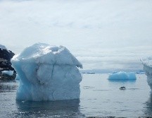 Los hallazos permiten conocer más sobre cómo vivián los grupos humanos en periodos desde 12 mil hasta 23 mil años atrás. EFE/ARCHIVO