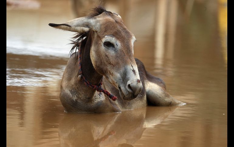 La temporada de lluvias de Sudán generalmente inicia en junio y dura hasta septiembre. AFP/A. Shazly