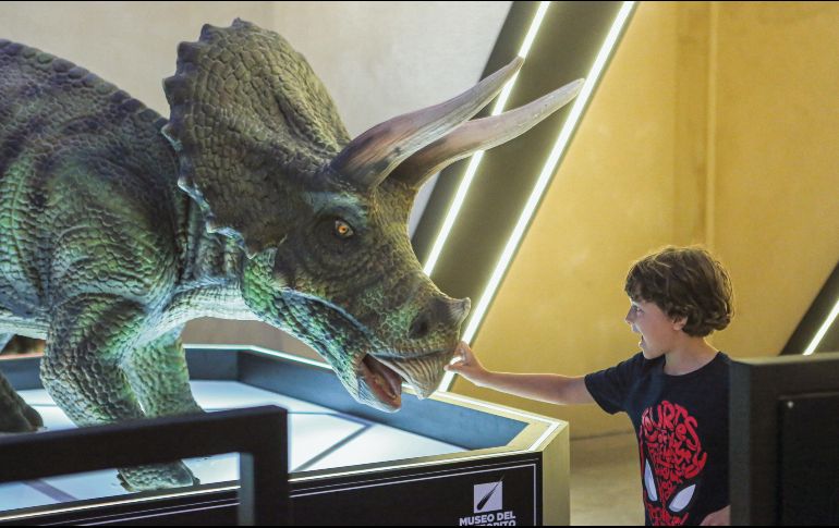Museo del Meteorito. Algunas figuras de dinosaurios se pueden tocar para apreciar su textura. EFE/L. Hernández