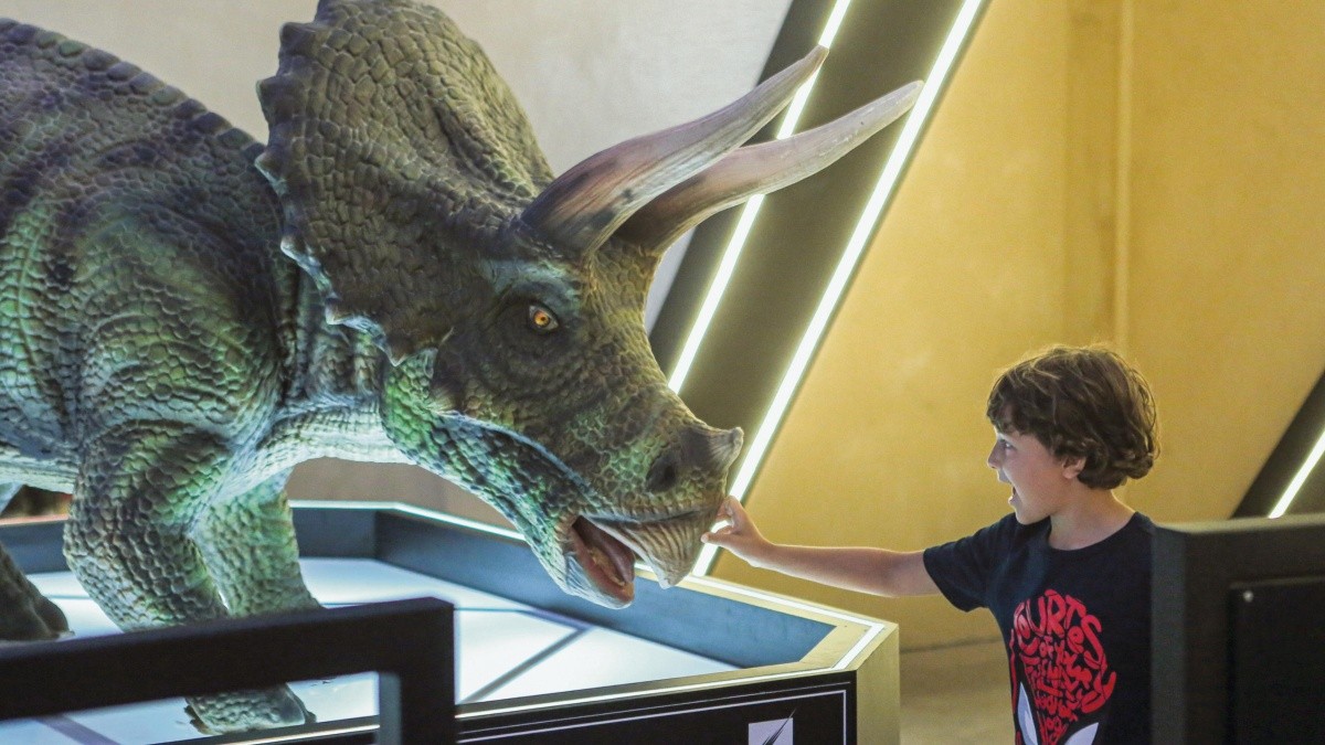 El Museo del Meteorito, una espectacular mirada al pasado | El Informador