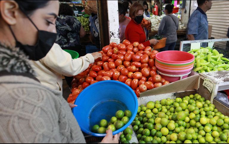 El costo promedio del kilo de jitomate se redujo en un 5.3%. EL INFORMADOR/ Archivo