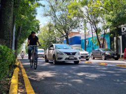 Ni para dar vuelta, carros no deben invadir el BusBici de Av. Hidalgo