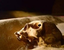 BELIZE TOURISM BOARD