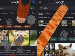 Los usuarios se enamoraron inmediatamente de esta función lanzada por Google. ESPECIAL