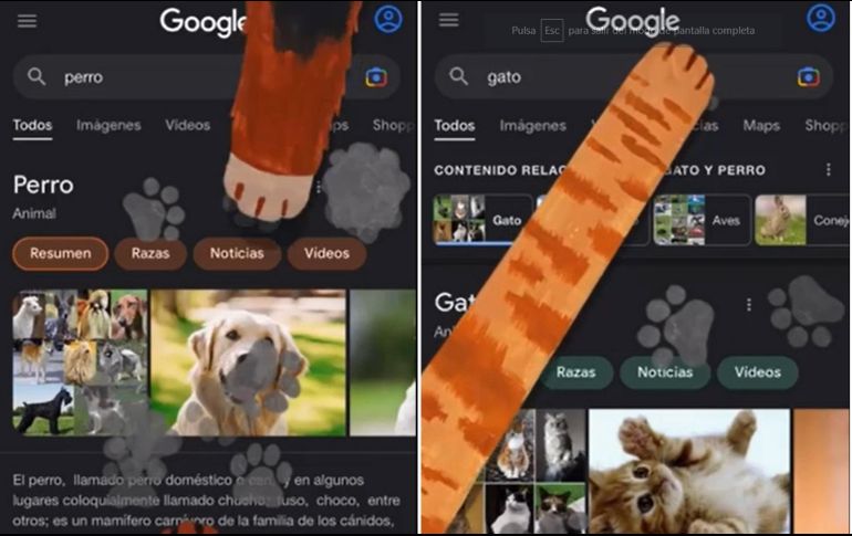 Los usuarios se enamoraron inmediatamente de esta función lanzada por Google. ESPECIAL