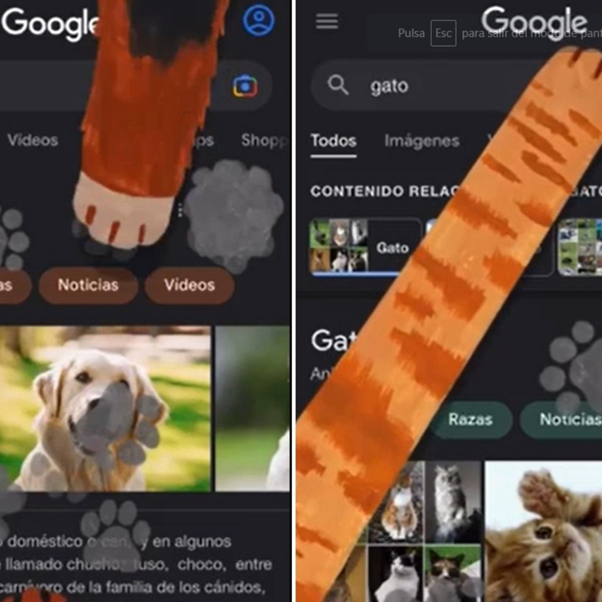 como sacar las huellas de mis perros