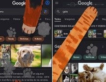 Los usuarios se enamoraron inmediatamente de esta función lanzada por Google. ESPECIAL