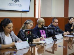 Diputados de Hagamos advierten que seguirán con su batalla jurídica por el espacio. ESPECIAL