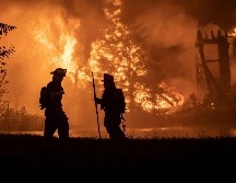 Desde principios de agosto se han desatado 106 incendios en Argelia. AP/R. Cooley