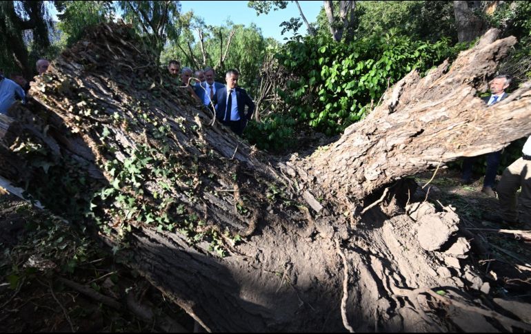 Violentas tormentas eléctricas y vientos huracanados dejaron al menos ocho muertos el jueves en Francia e Italia. AFP/E. Dunand