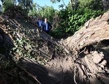 Violentas tormentas eléctricas y vientos huracanados dejaron al menos ocho muertos el jueves en Francia e Italia. AFP/E. Dunand