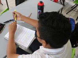 Piden que la SEP garantice el derecho humano de los niños a la educación y se abstengan de eliminar los grados escolares y de eliminar la facultad de evaluar a los alumnos. EL INFORMADOR/ARCHIVO