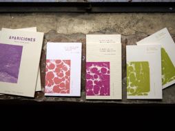 La editorial adelanta que actualmente cuenta con cinco títulos: tres libros de bolsillo, una colección de poesía y una novela, que darán forma a la orden del día durante la presentación en Casa ITESO Clavigero. Cortesía / Editorial Espina Dorsal