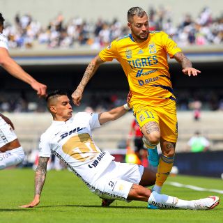 ¿Dónde ver EN VIVO el partido Pumas vs Tigres?