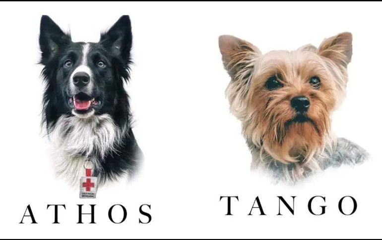Athos y Tango murieron tras comer salchichas envenenadas hace un año; hoy finalmente se hizo justicia. ESPECIAL
