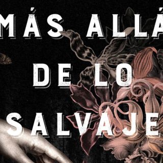 “Más allá de lo salvaje” de Julia Fine