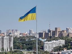 Tanto Rusia como Ucrania se mostraron dispuestos a permitir el acceso de un equipo de inspectores de la Agencia Internacional de Energía Atómica al sitio. EFE/S. Kozlov